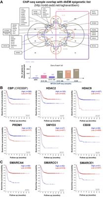 A Chemo-Genomic Approach Identifies Diverse Epigenetic Therapeutic Vulnerabilities in MYCN-Amplified Neuroblastoma